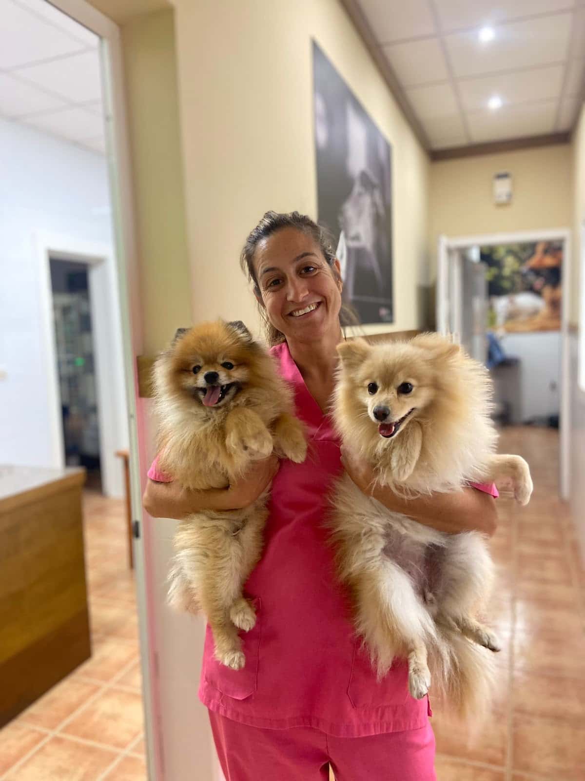 Clínica Veterinaria Salamanca