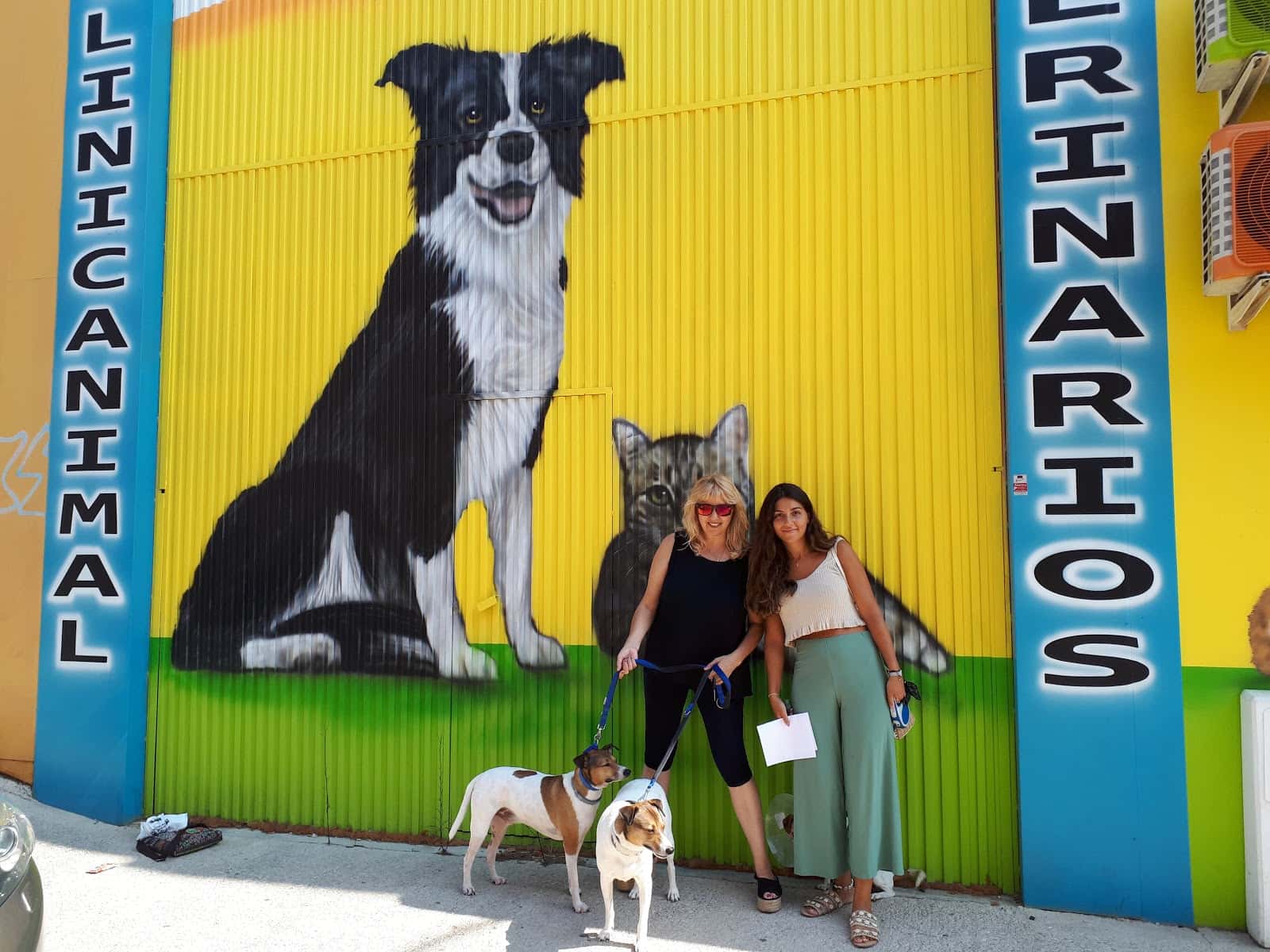 clinicanimal veterinarios veterinario clinica en molina de segura en murcia principalImage ADOPTA Sitios Pet Friendly