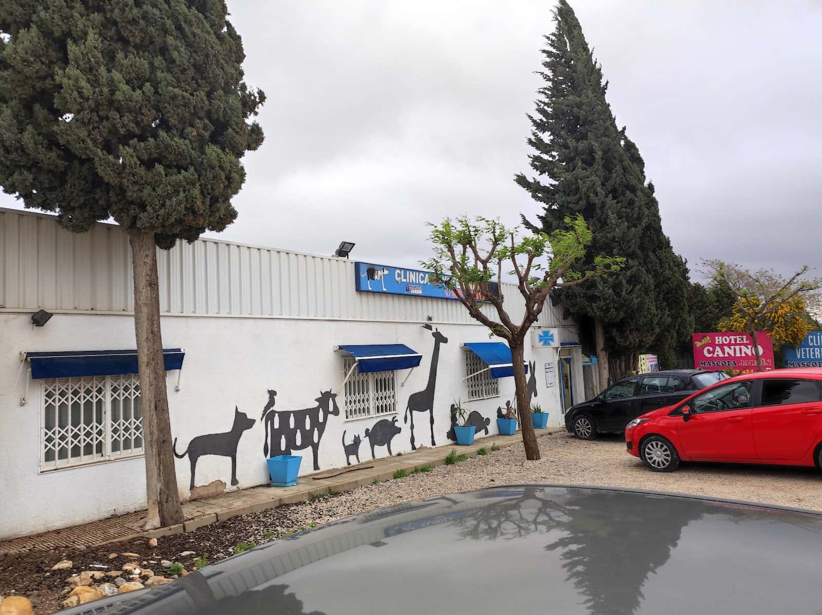 Clínica Veterinaria Vetam