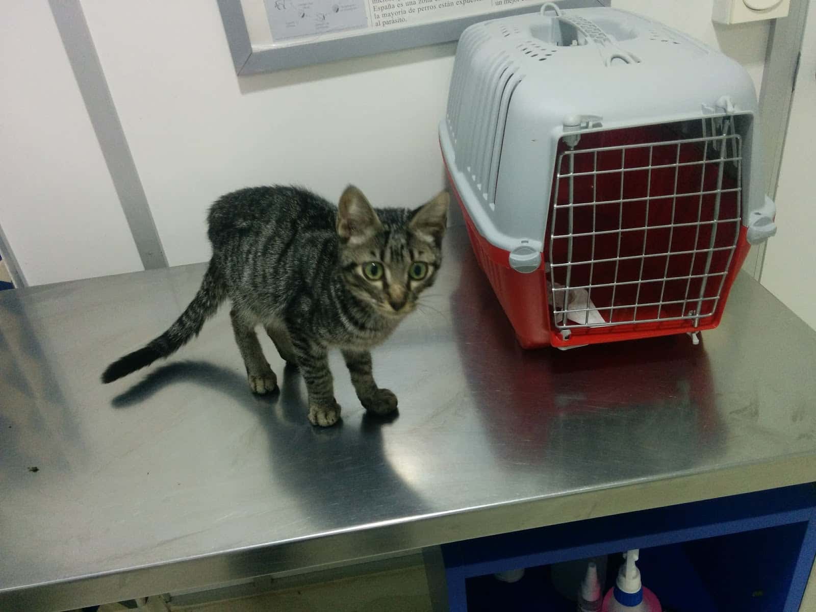 Clínica Veterinaria Vetam