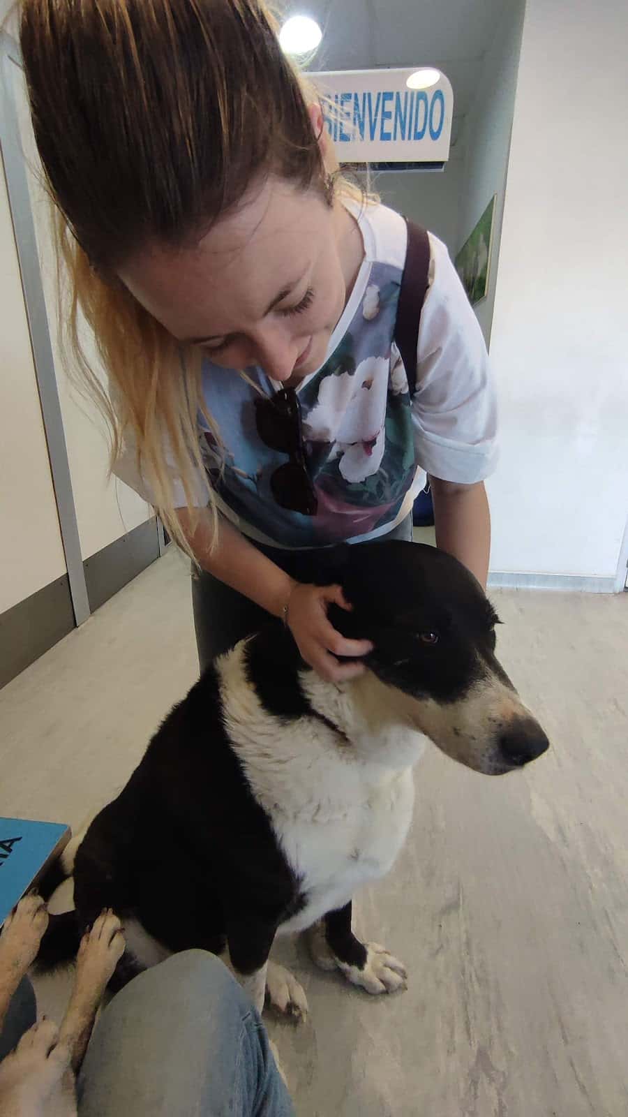 Clínica Veterinaria Vetam