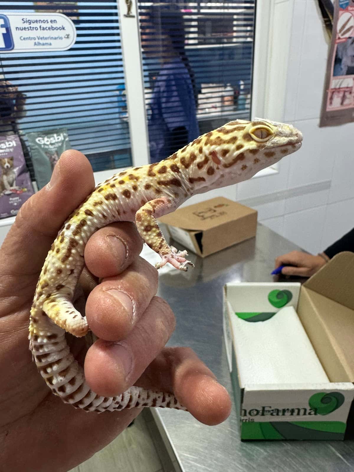 Centro Veterinario Alhama