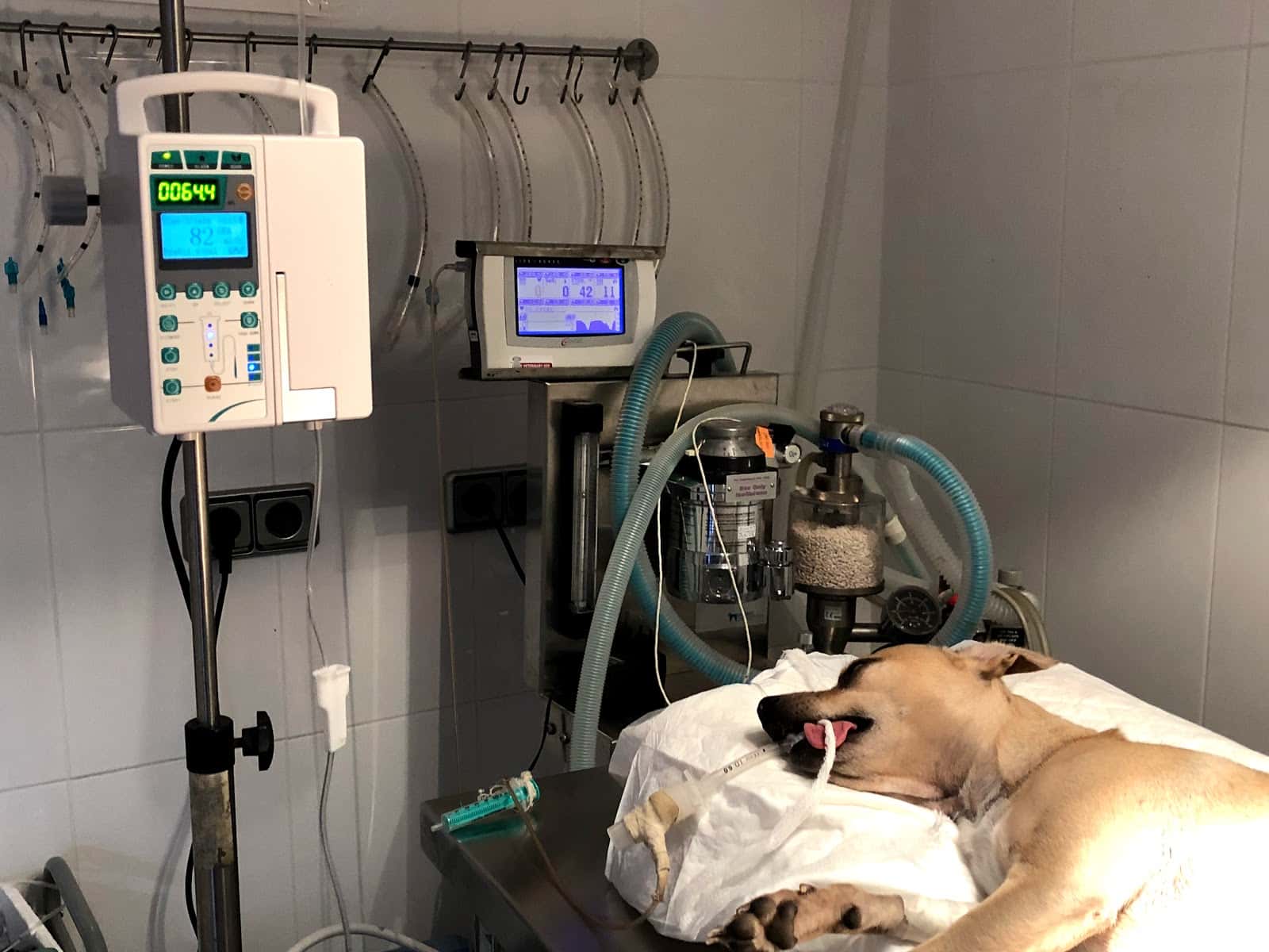 Centro Veterinario Alhama