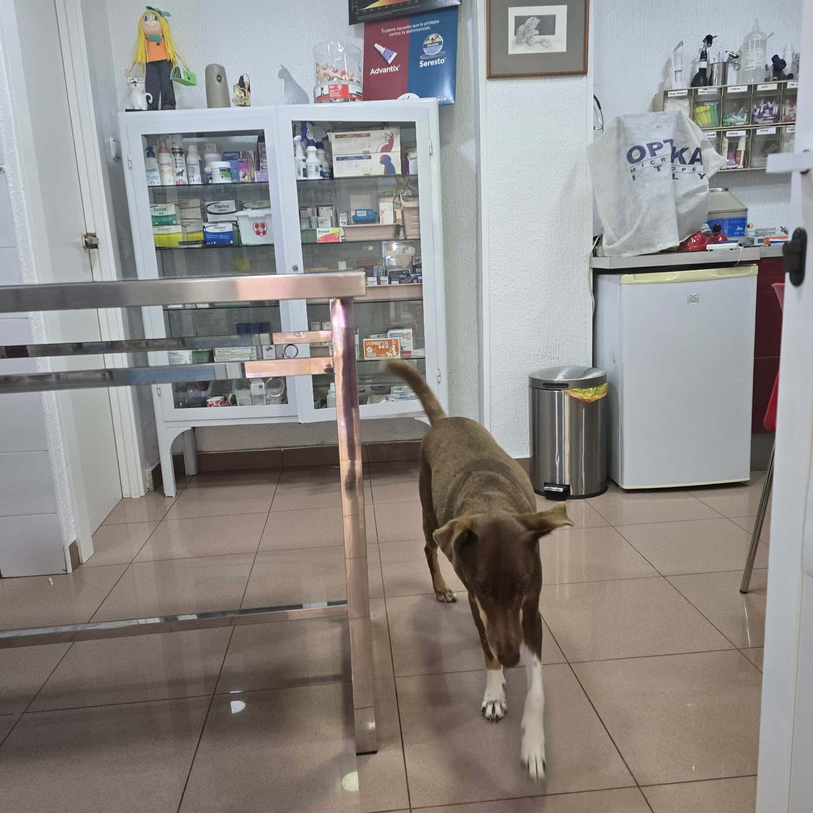 Clínica Veterinaria Wau