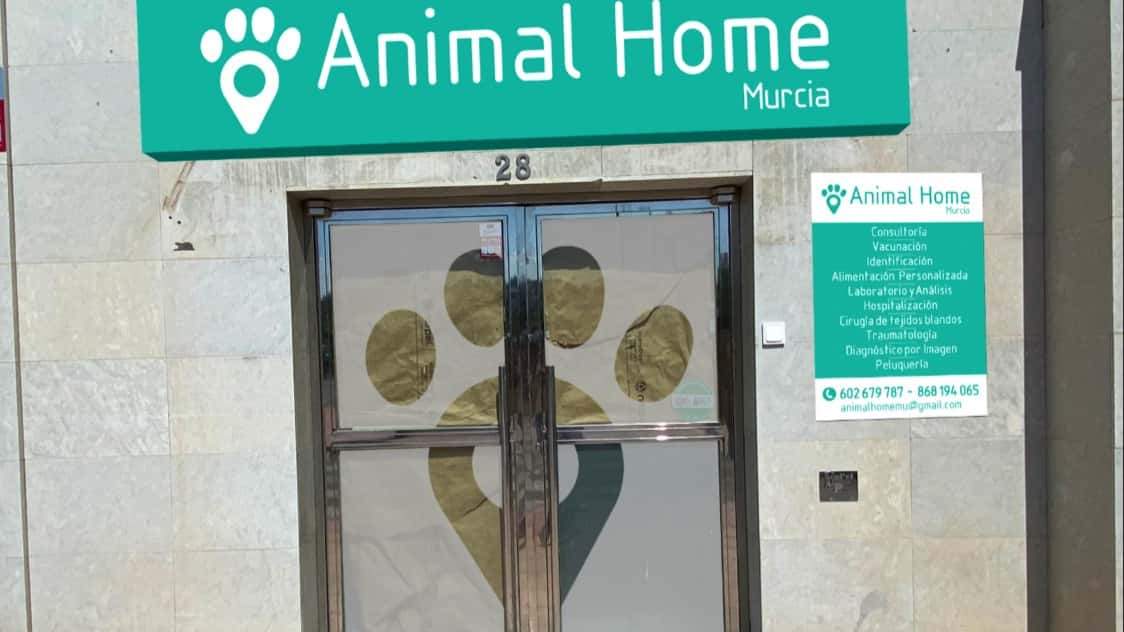 animal home murcia veterinario centro en molina de segura en murcia principalImage ADOPTA Sitios Pet Friendly