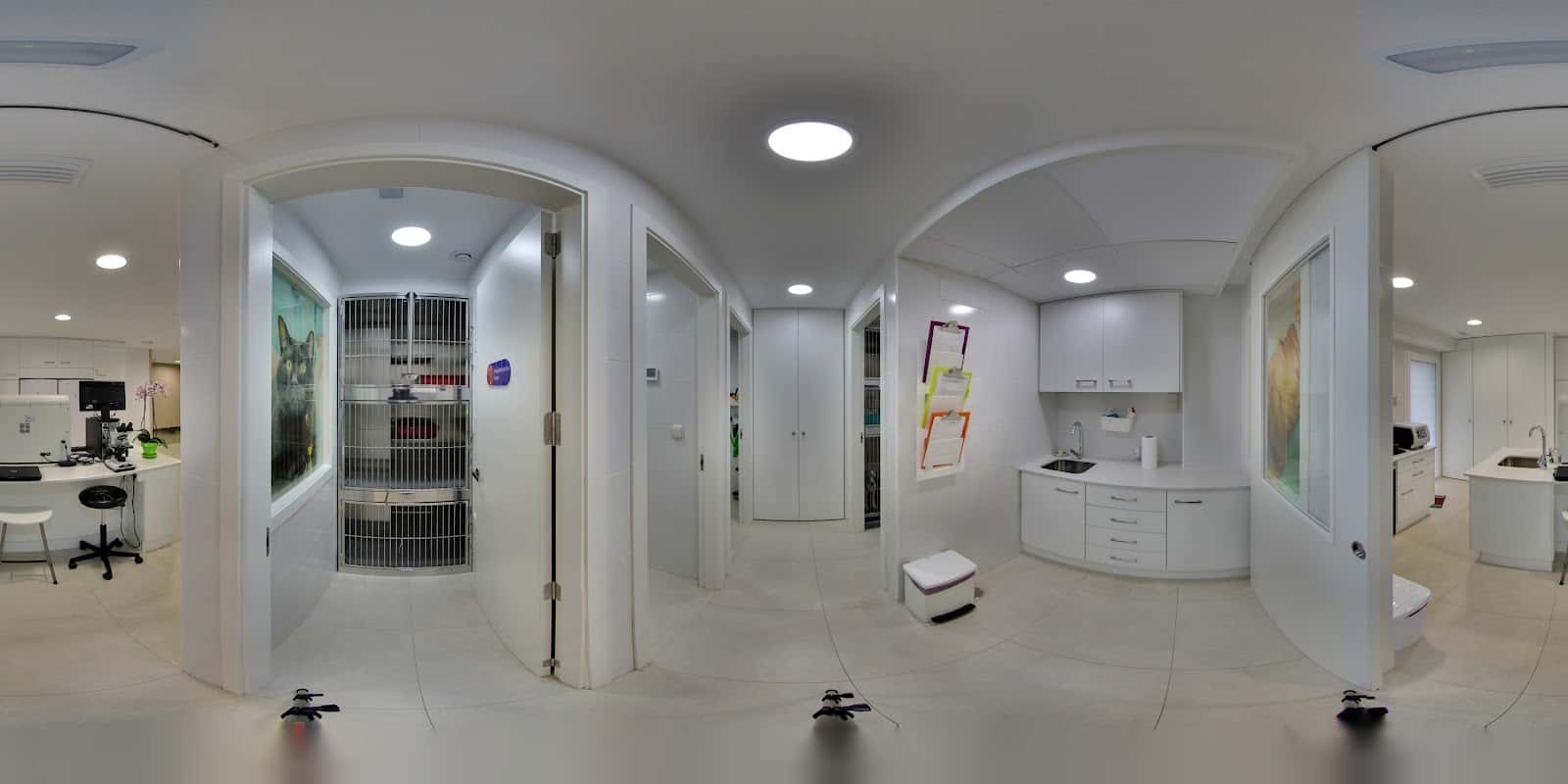 Hospital Veterinario Faucan | MiVet