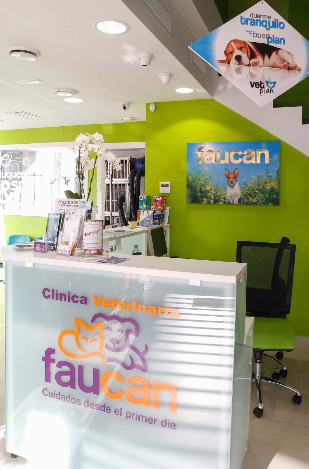 Hospital Veterinario Faucan | MiVet