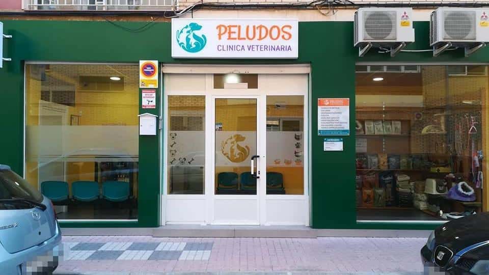 clinica veterinaria peludos veterinario clinica en cartagena en murcia principalImage ADOPTA Sitios Pet Friendly