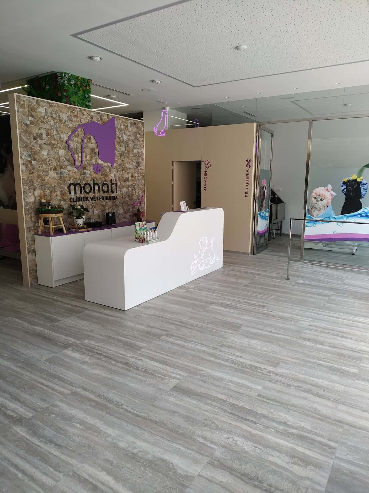 clinica veterinaria mohati veterinario clinica en cartagena en murcia principalImage ADOPTA Sitios Pet Friendly