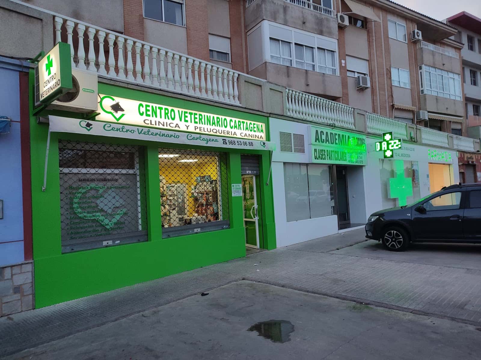 centro veterinario cartagena veterinario centro en cartagena en murcia principalImage ADOPTA Sitios Pet Friendly