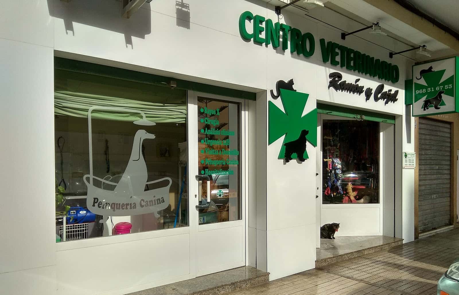 clinica veterinaria ramon y cajal veterinario clinica en cartagena en murcia principalImage ADOPTA Sitios Pet Friendly