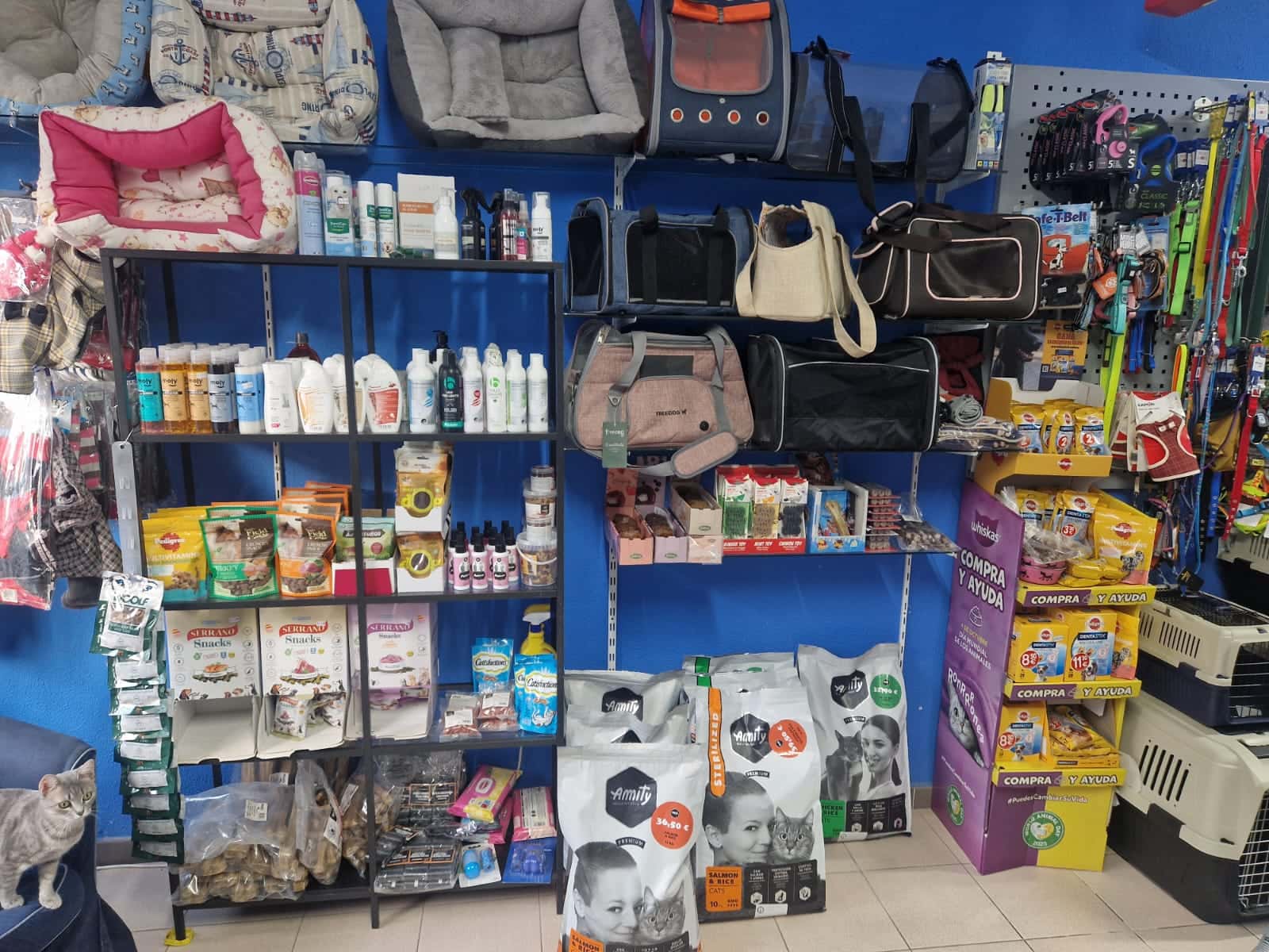 la purisima veterinario centro en la aljorra en murcia principalImage ADOPTA Sitios Pet Friendly
