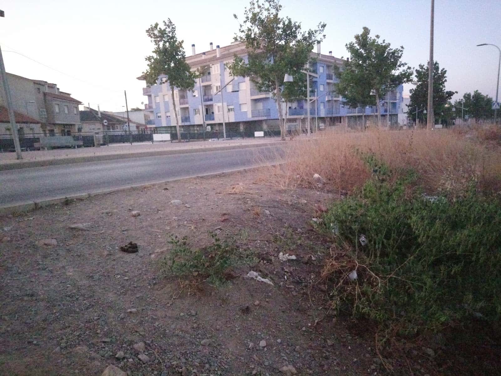 clinica veternaria wuaku wuaku veterinario clinica en fuente alamo en murcia principalImage ADOPTA Sitios Pet Friendly