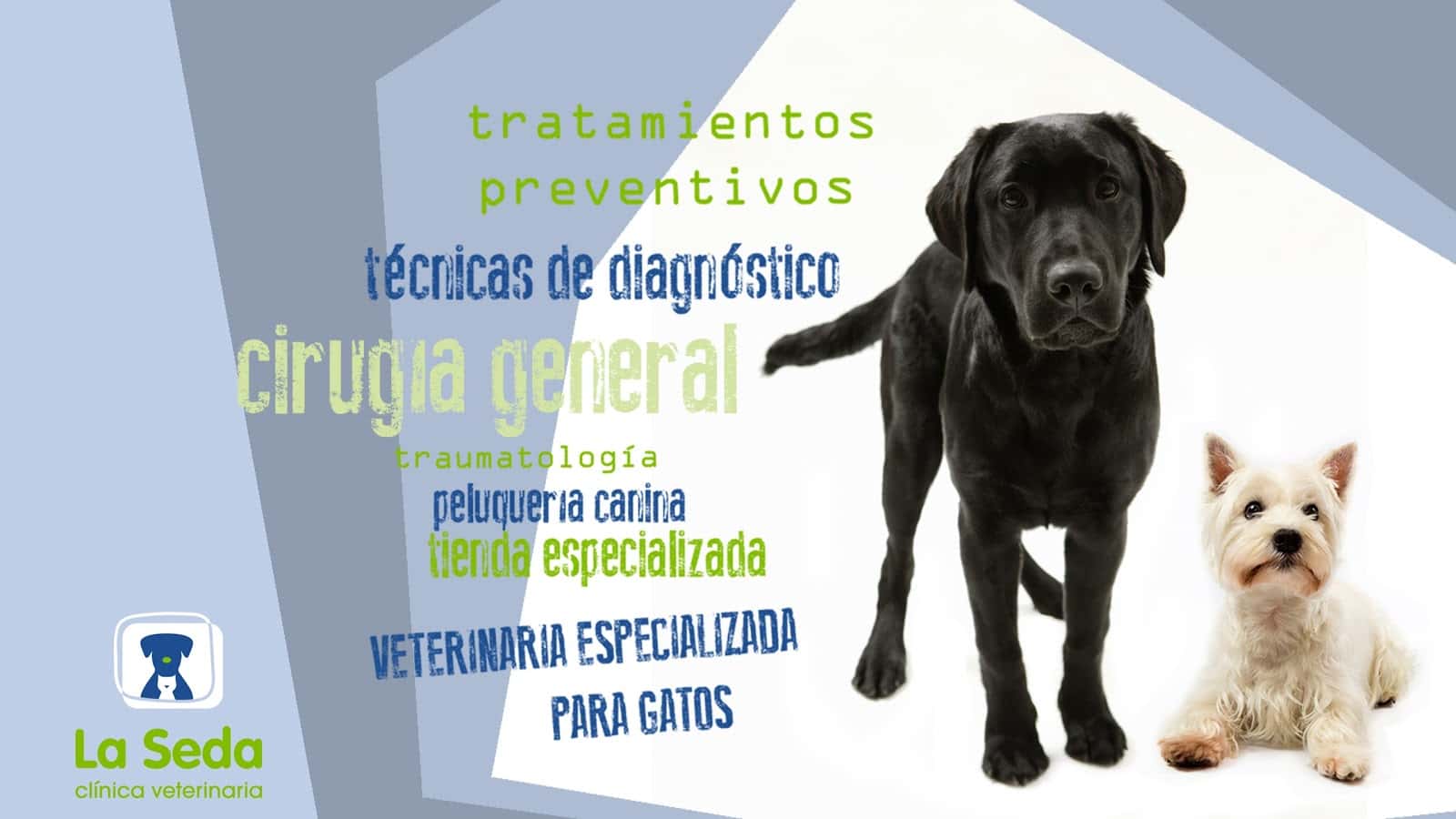 medivet la seda lorca veterinario centro en lorca en murcia principalImage ADOPTA Sitios Pet Friendly