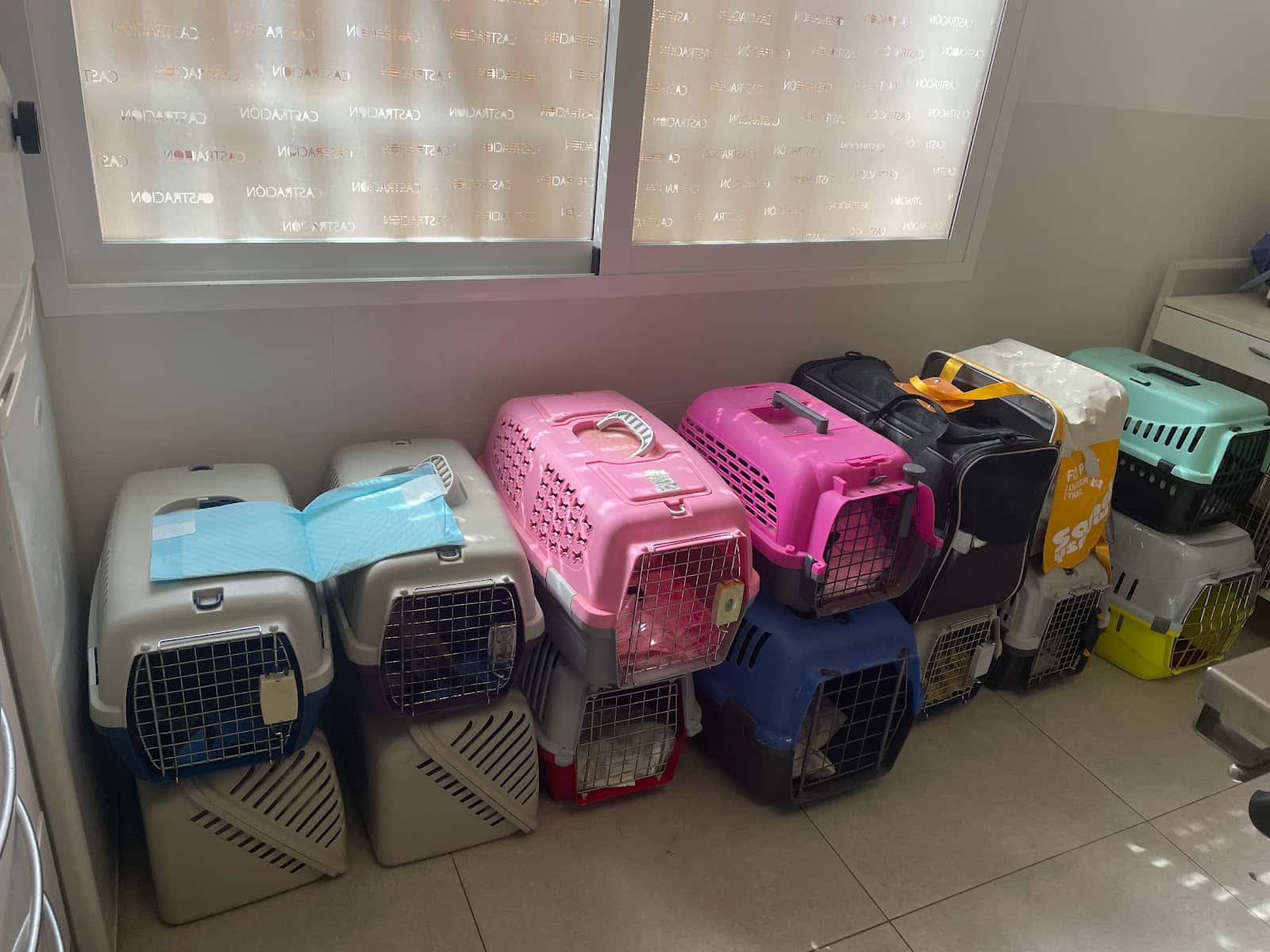 Granavet Cartagena, Clínica Veterinaria especializada en castraciónes