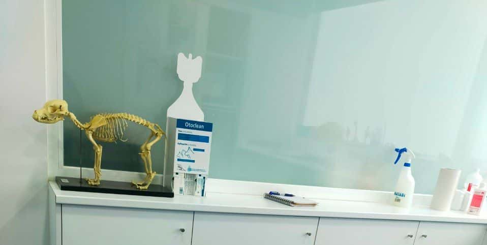 Clínica Veterinaria Víctor Andueza