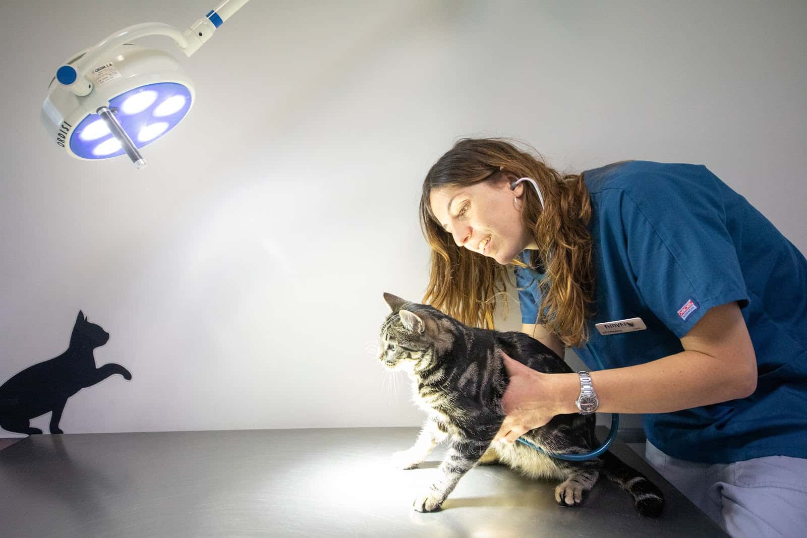 Clínica Veterinaria Fitovet