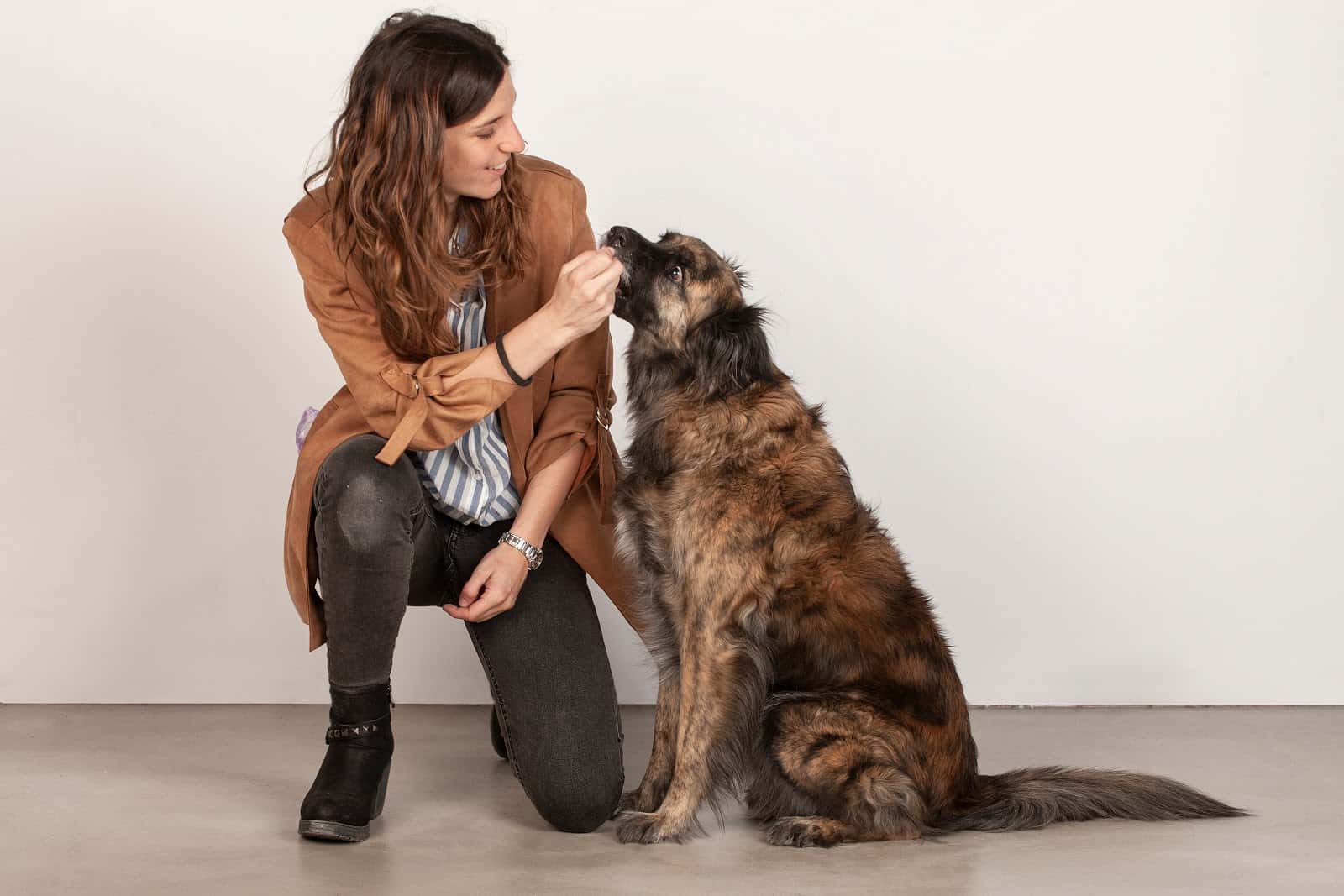 Clínica Veterinaria Fitovet