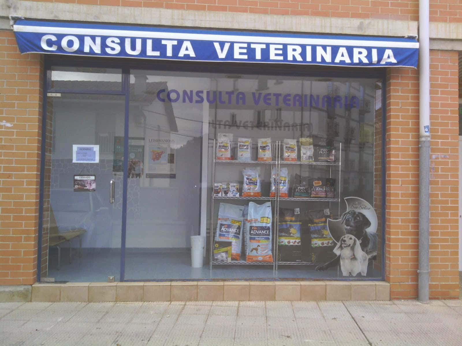 CONSULTA VETERINARIA AOIZ