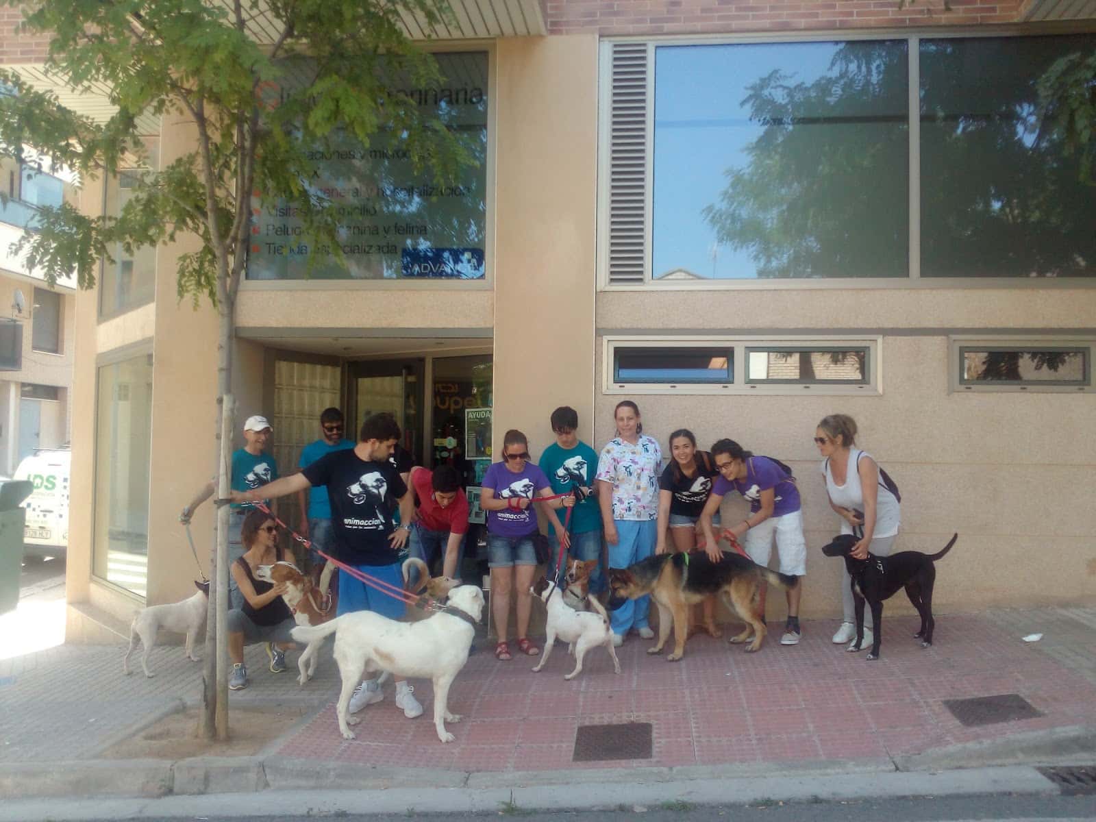 clinica veterinaria belen carasa veterinario clinica en tudela en navarra principalImage ADOPTA Sitios Pet Friendly