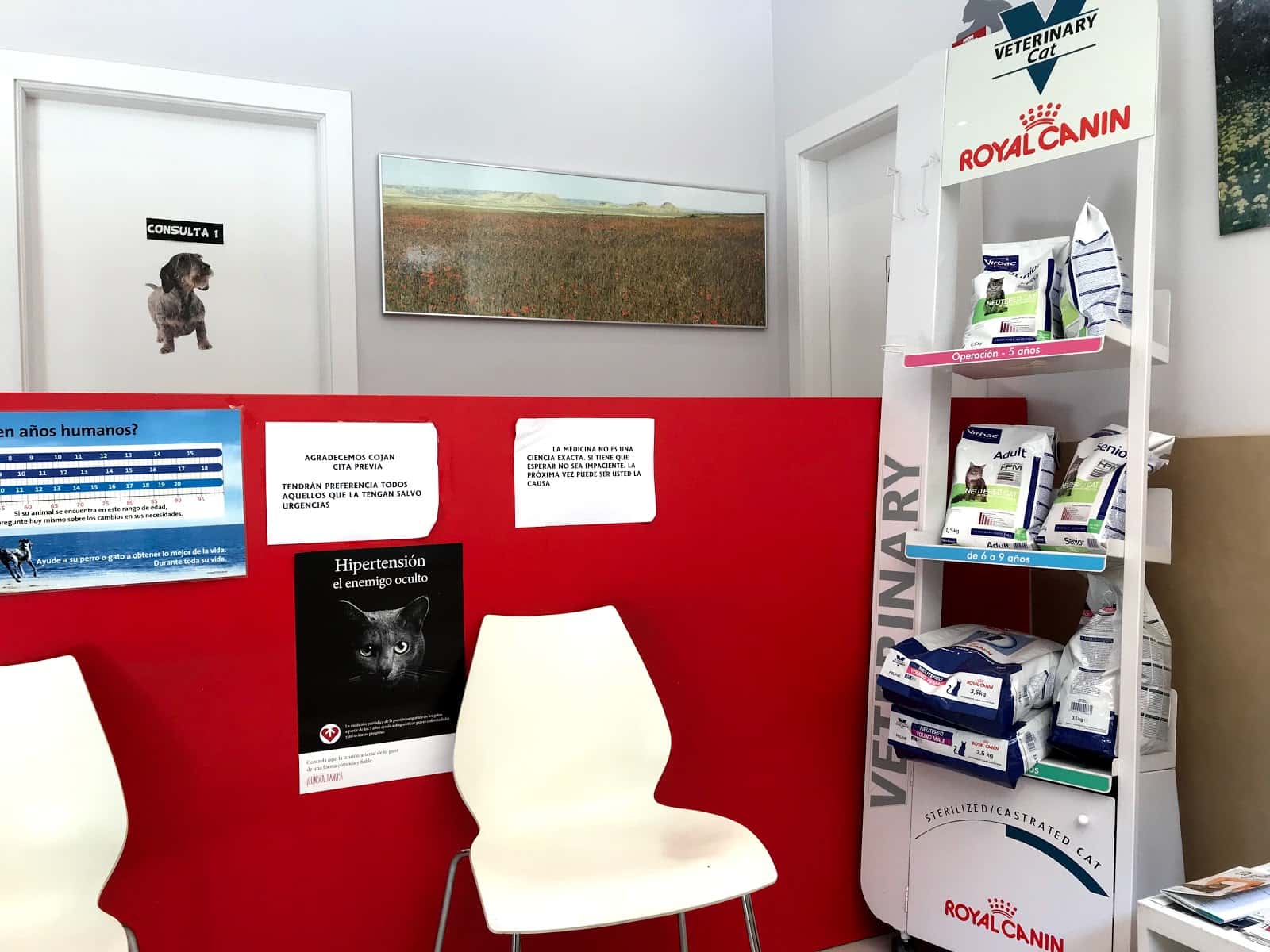 Clínica Veterinaria Santa Ana