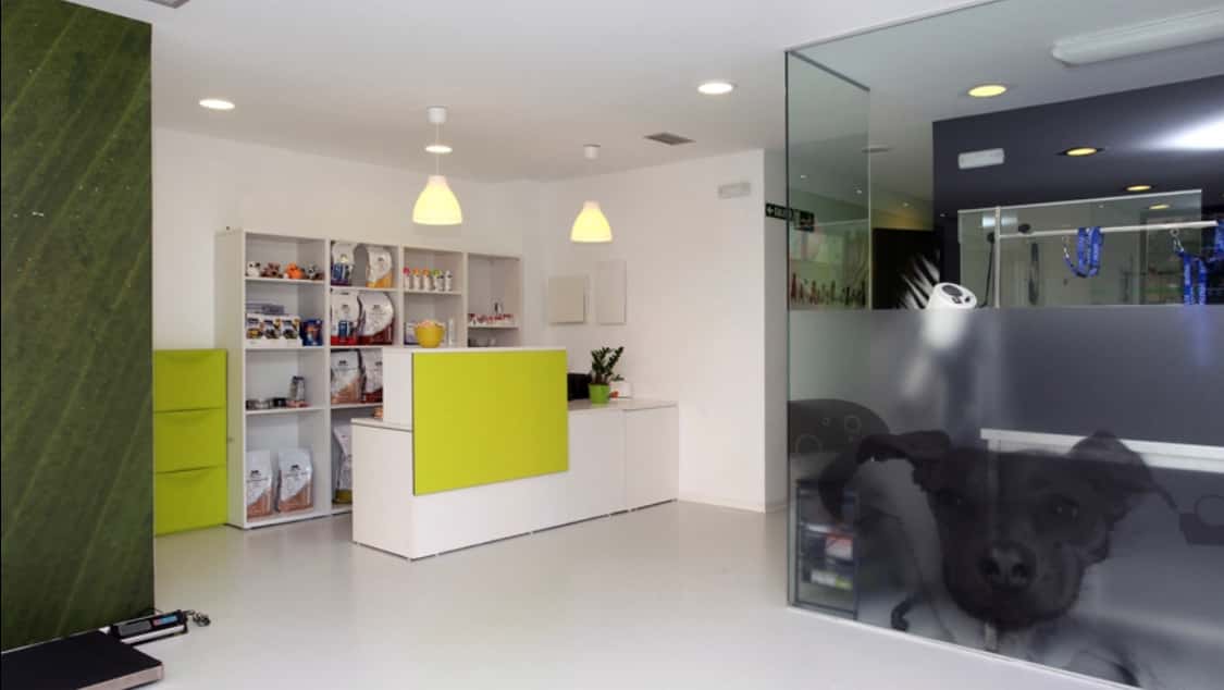 clinica veterinaria nuevo artica veterinaria en pamplona veterinario clinica en artica en navarra principalImage ADOPTA Sitios Pet Friendly