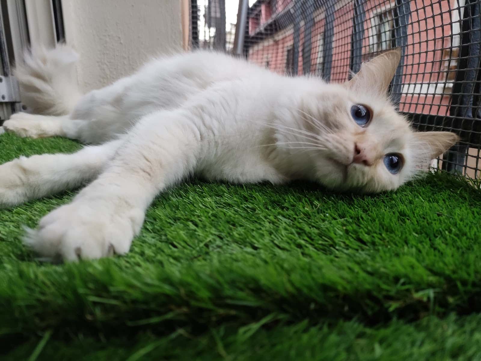 Clínica Veterinaria Labrit