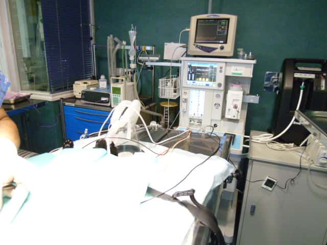 Centro Veterinario Abodi