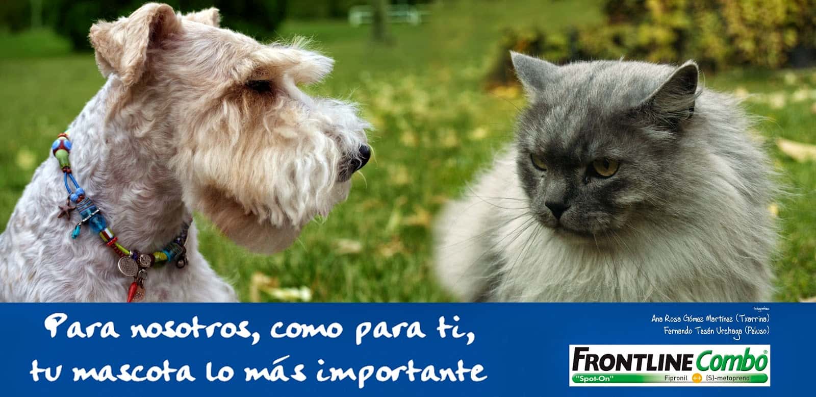centro veterinario abodi veterinario centro en baranain en navarra principalImage ADOPTA Sitios Pet Friendly
