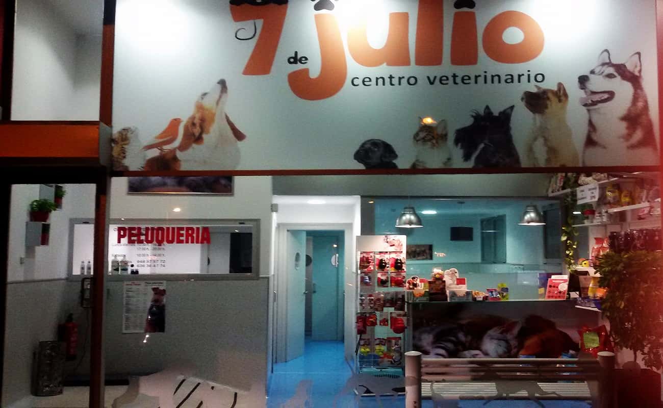 centro veterinario 7 de julio veterinario centro en pamplona en navarra principalImage ADOPTA Sitios Pet Friendly