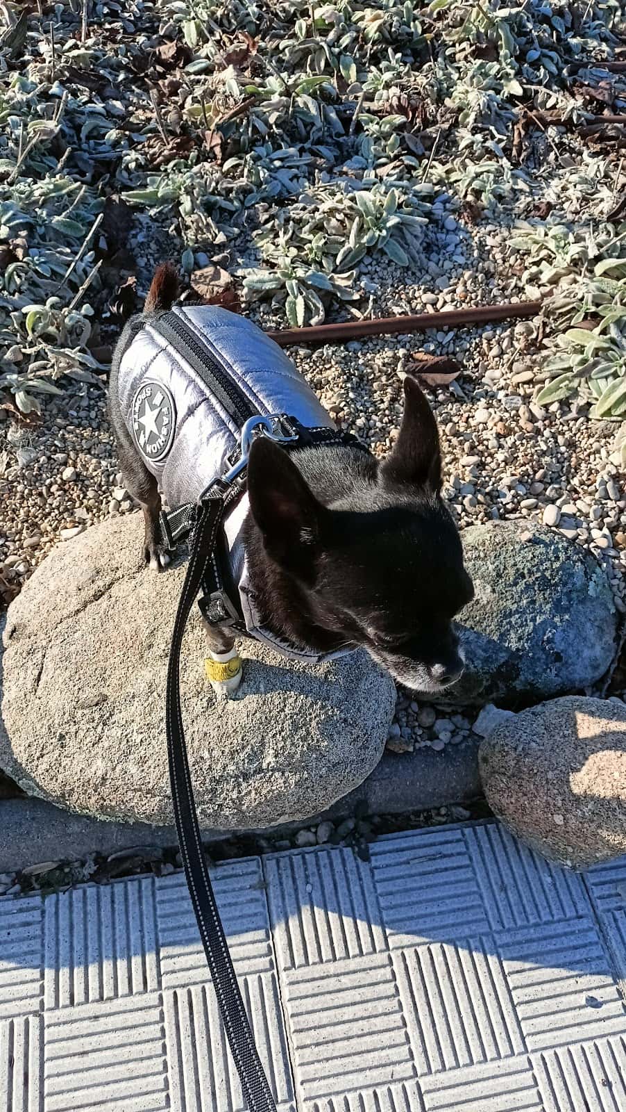 Clínica Veterinaria Sarriguren