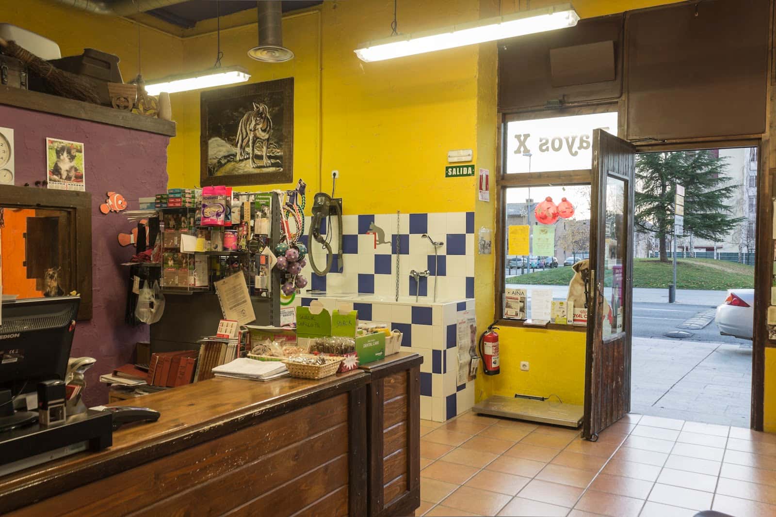 Clínica Veterinaria Cinco Lobitos Huarte - Pamplona (Navarra)