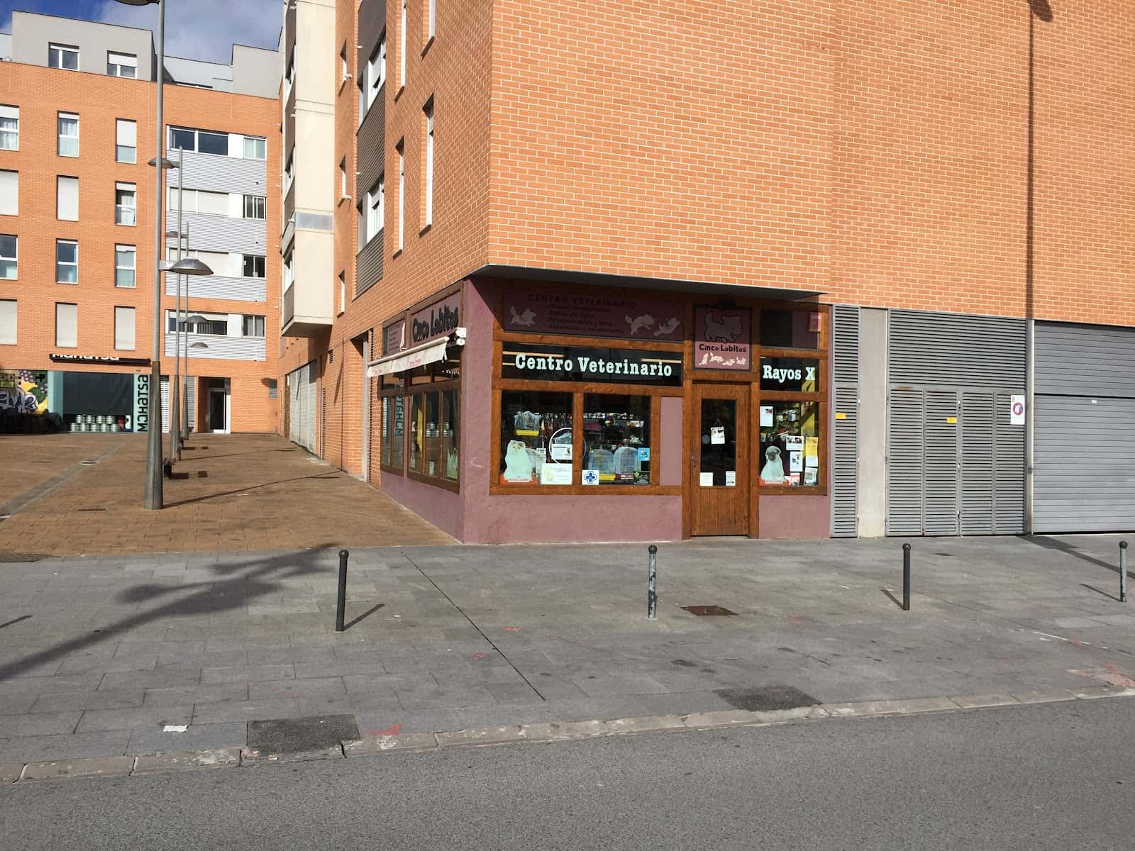 Clínica Veterinaria Cinco Lobitos Huarte - Pamplona (Navarra)