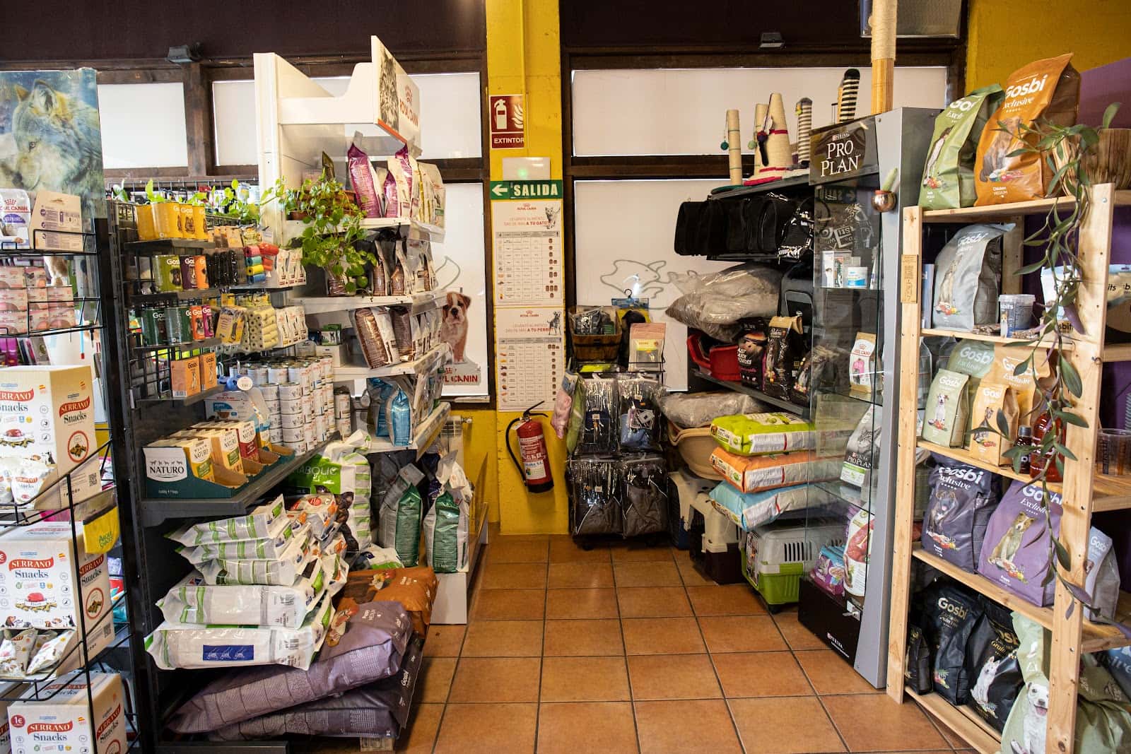 Clínica Veterinaria Cinco Lobitos Huarte - Pamplona (Navarra)