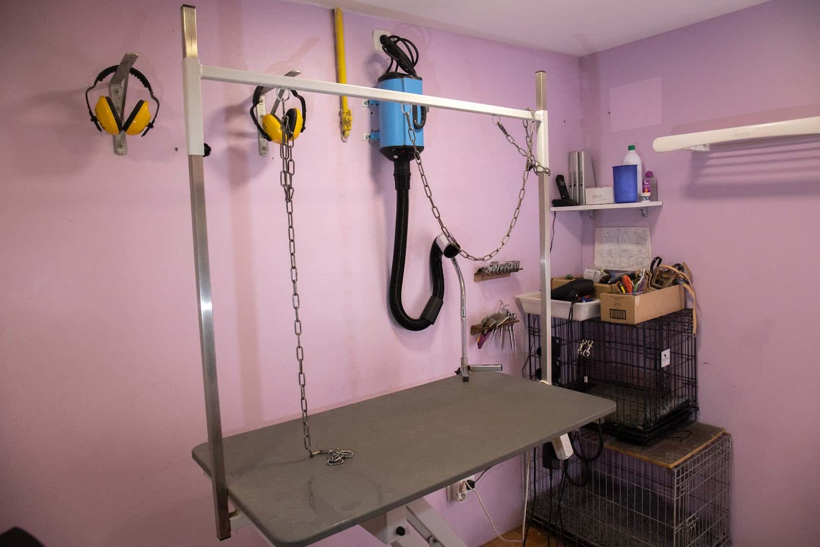Clínica Veterinaria Cinco Lobitos Huarte - Pamplona (Navarra)