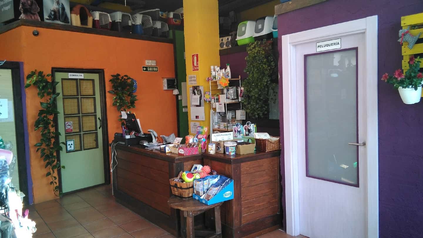 clinica veterinaria cinco lobitos huarte   pamplona  navarra  veterinario clinica en huarte en navarra principalImage ADOPTA Sitios Pet Friendly