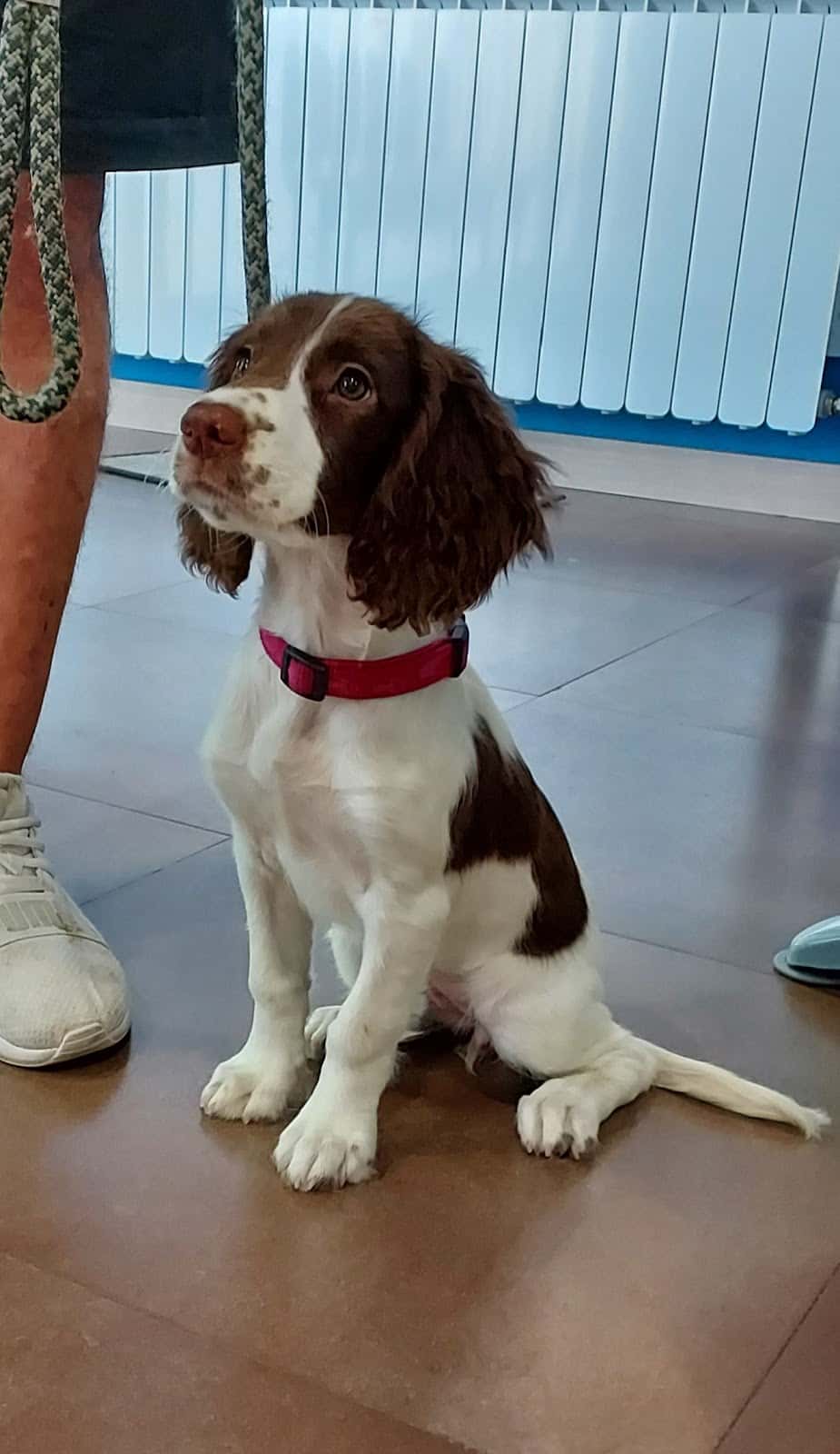 Clínica Veterinaria Argos Burlada