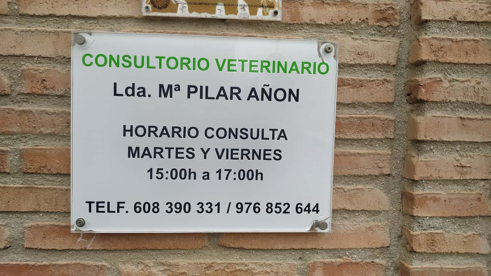 veterinaria veterinario centro en mallen en zaragoza principalImage ADOPTA Sitios Pet Friendly