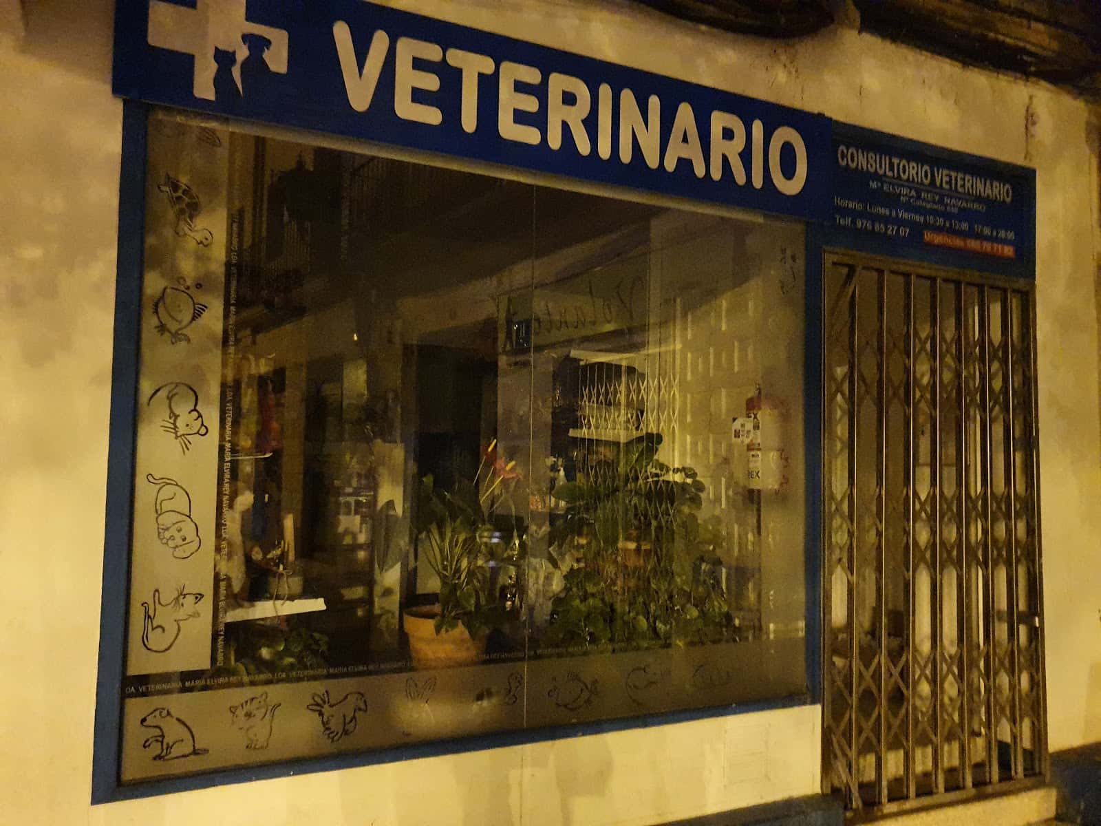 maria elvira rey navarro veterinario centro en borja en zaragoza principalImage ADOPTA Sitios Pet Friendly