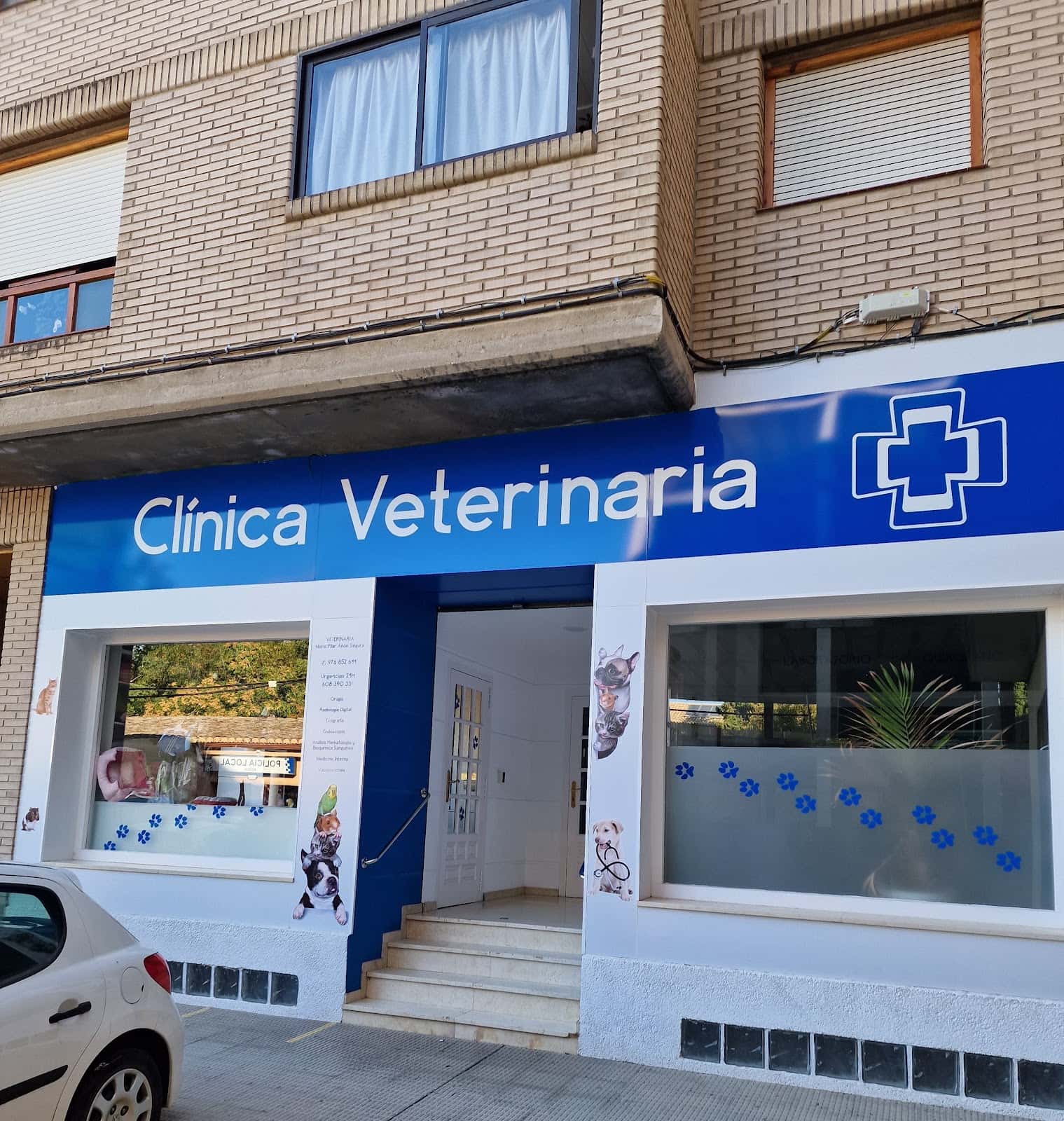 clinica veterinaria maria pilar anon veterinario clinica en borja en zaragoza principalImage ADOPTA Sitios Pet Friendly