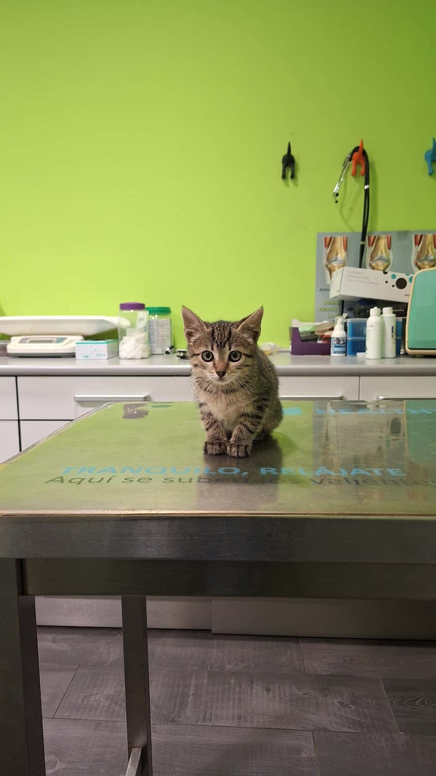 Centro Veterinaria Dejando Huella