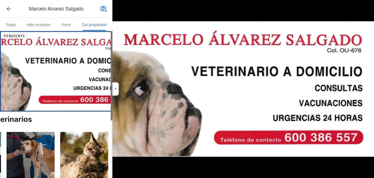 Marcelo Álvarez Salgado Veterinario