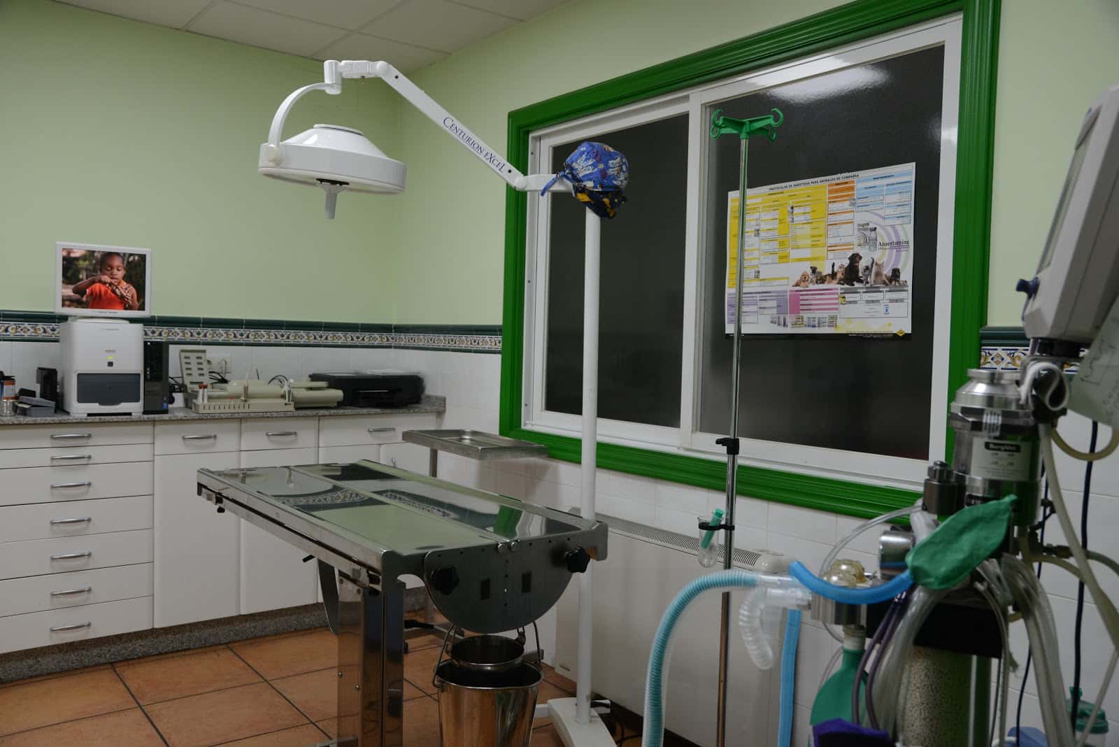 centro veterinario don guau veterinario centro en xinzo de limia en ourense principalImage ADOPTA Sitios Pet Friendly