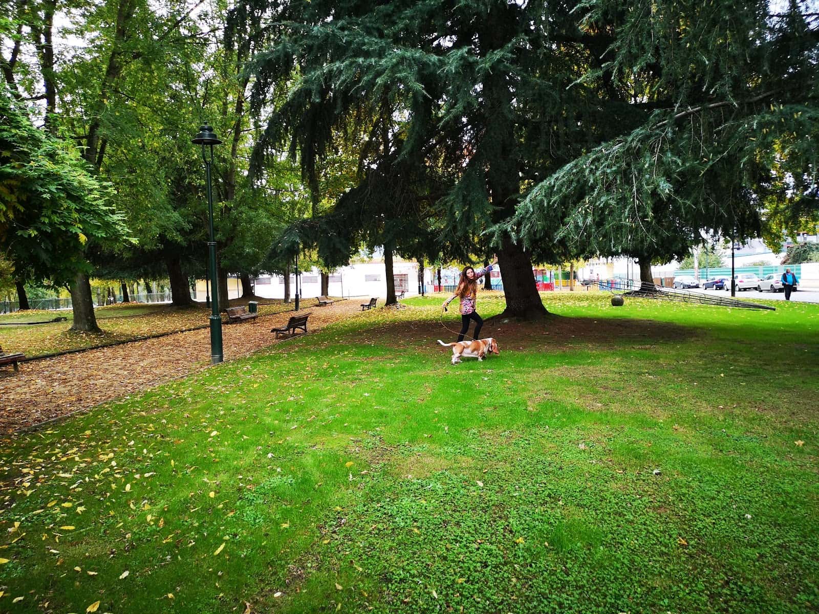 Sil Veterinarios