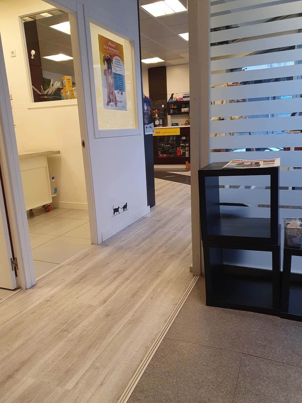clinica veterinaria valenvet veterinario clinica en a valenza en ourense principalImage ADOPTA Sitios Pet Friendly