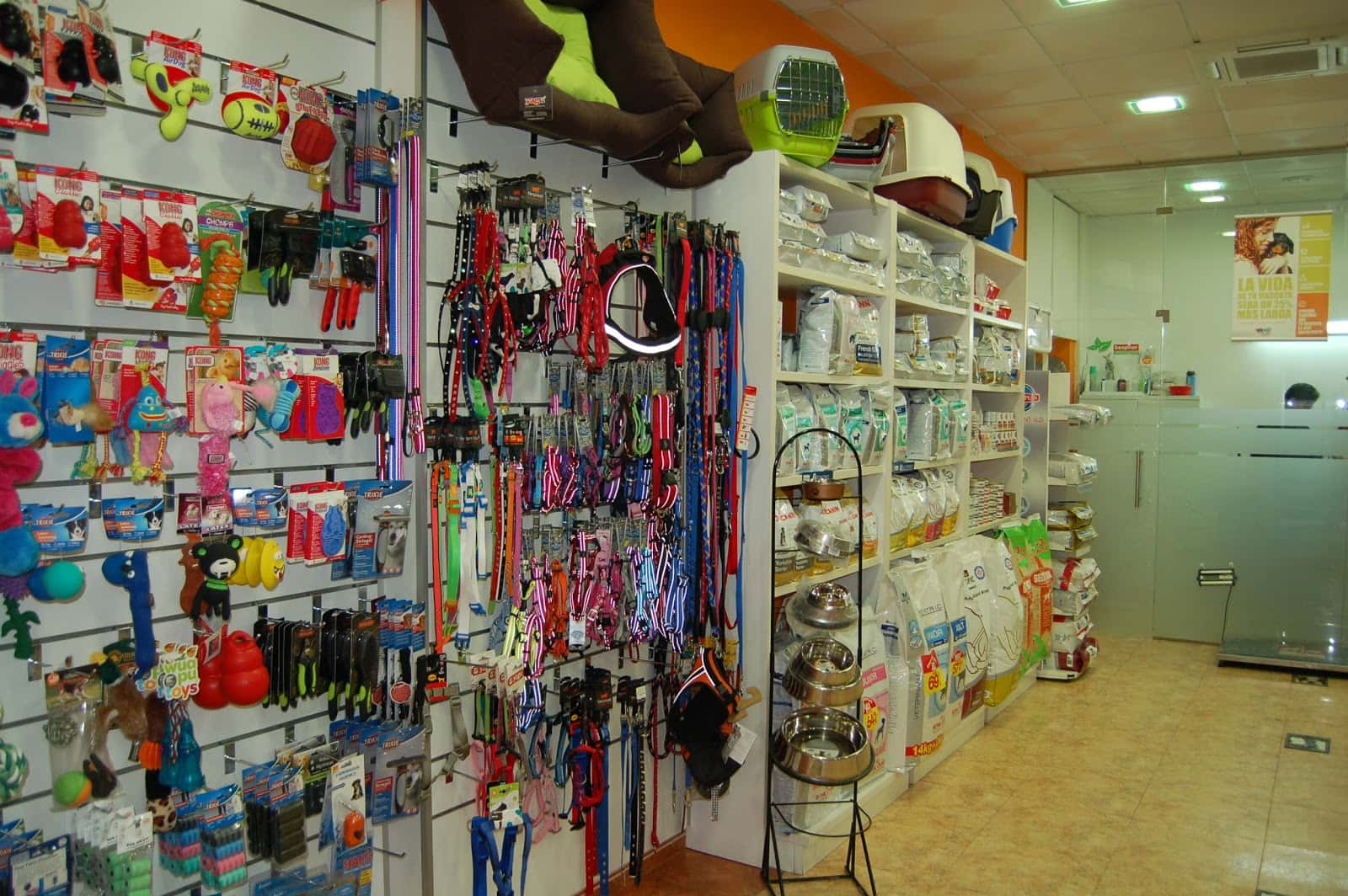 Clínica Veterinaria Nexo Ourense