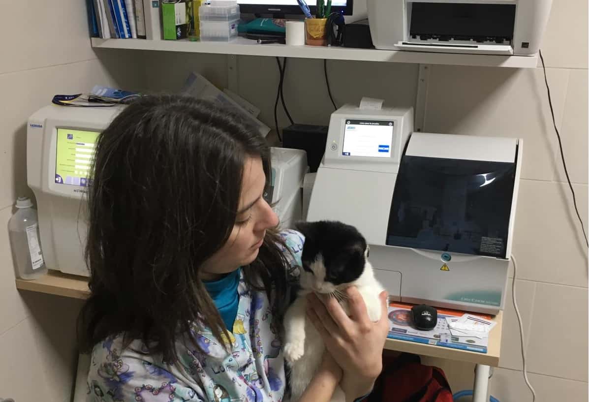 Albeitar Centro Veterinario