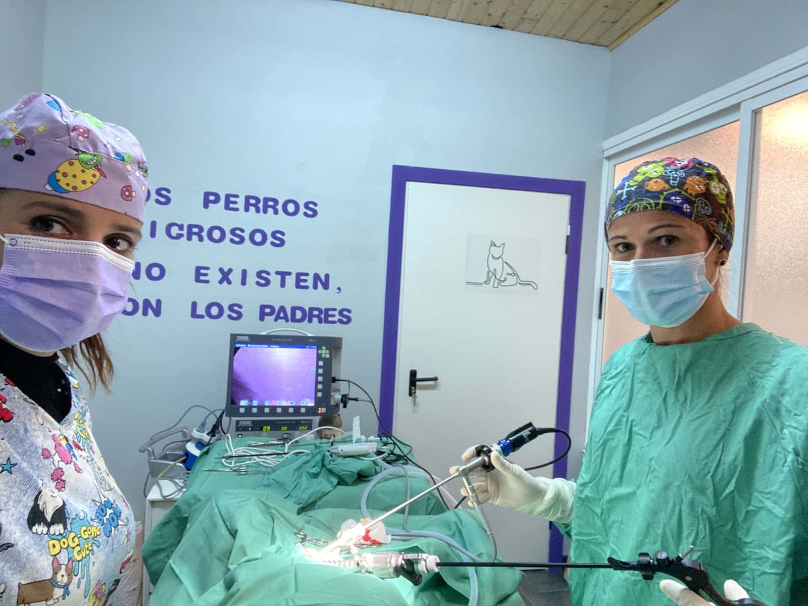 Centro Veterinario San Roque