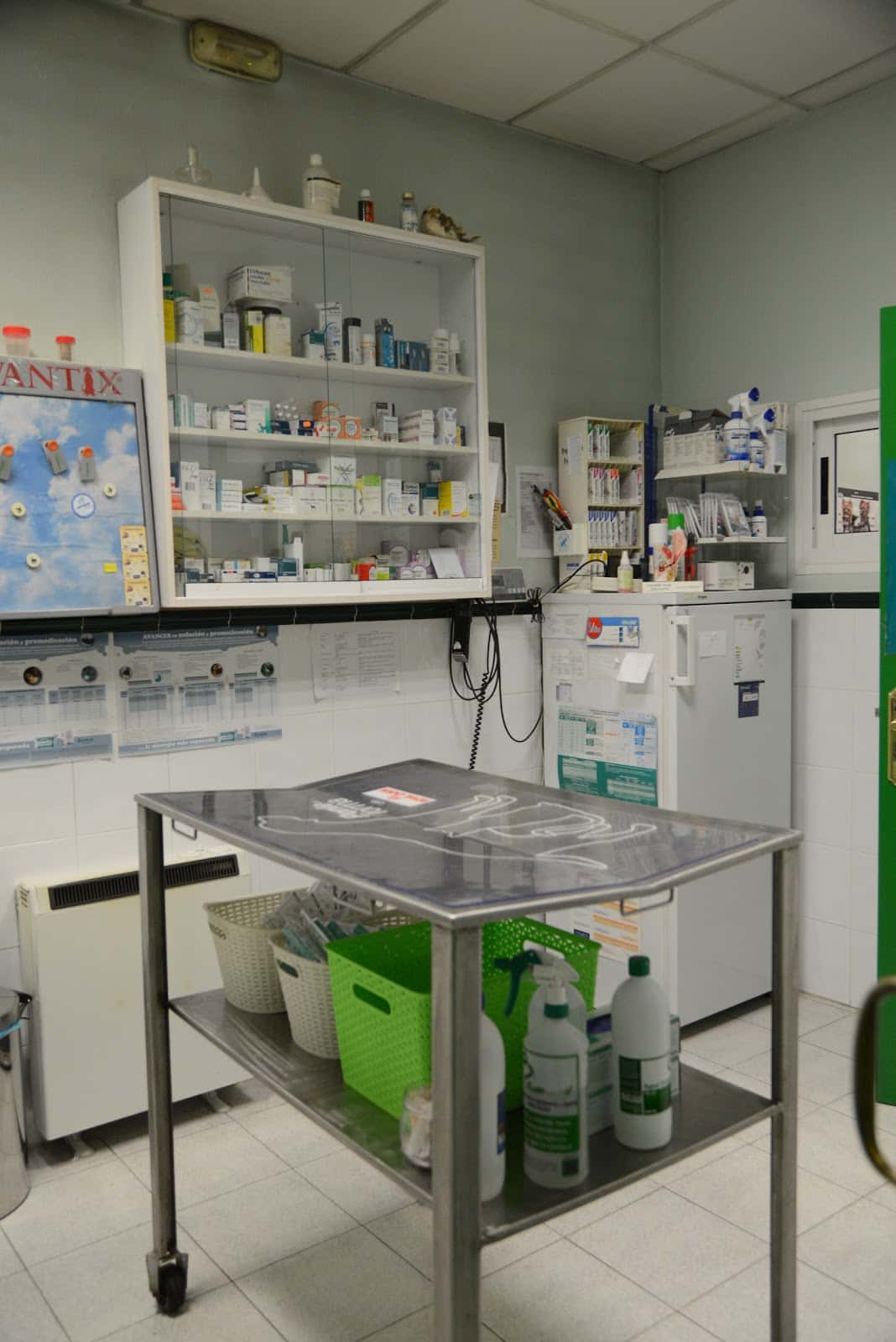 centro veterinario don guau veterinario centro en verin en ourense principalImage ADOPTA Sitios Pet Friendly