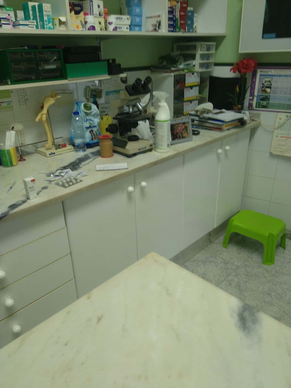 Clínica Veterinaria la Fuente